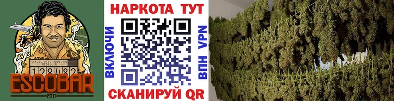 Магазины продажи наркотиков Дзержинск ГАШ  СК  mega маркетплейс  Каннабис  Вейп ТГК  Кокаин  Мефедрон 