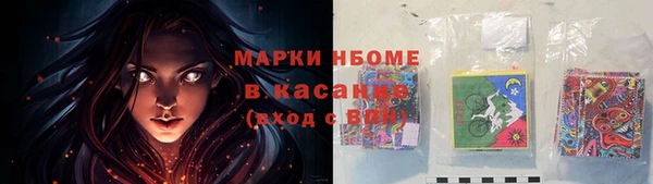 прущие грибы Алексин