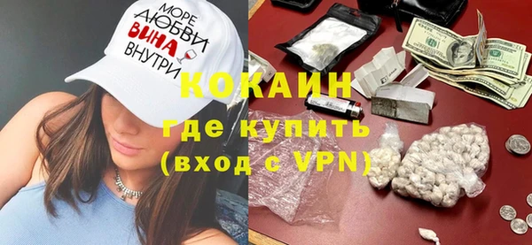 PSILOCYBIN Майский