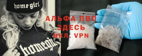 PSILOCYBIN Майский