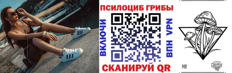 Псилоцибиновые грибы Psilocybine cubensis Дзержинск