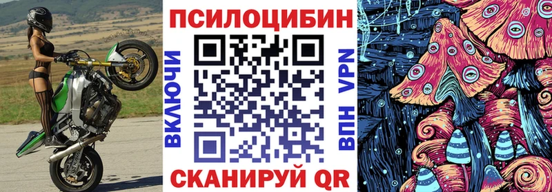сайты даркнета какой сайт  Дзержинск  Псилоцибиновые грибы Psilocybine cubensis 